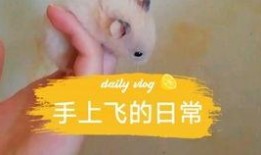 娱乐圈吃瓜背景板是谁,揭秘“吃瓜背景板”背后的故事